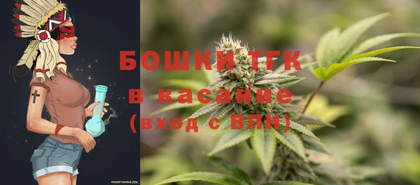 крисы Абаза