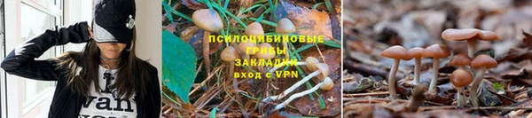 скорость mdpv Алексеевка