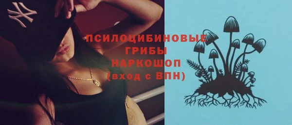 а пвп мука Алзамай