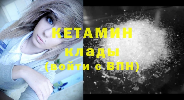 крисы Абаза