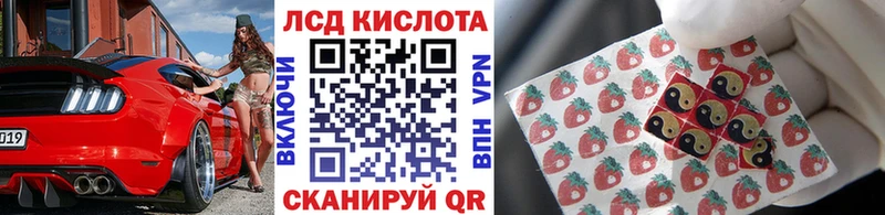 как найти закладки  Зверево  KRAKEN ссылка  Марки NBOMe 1500мкг 