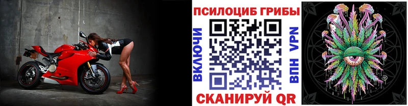 продажа наркотиков  МЕГА как зайти  Псилоцибиновые грибы MAGIC MUSHROOMS  Зверево 
